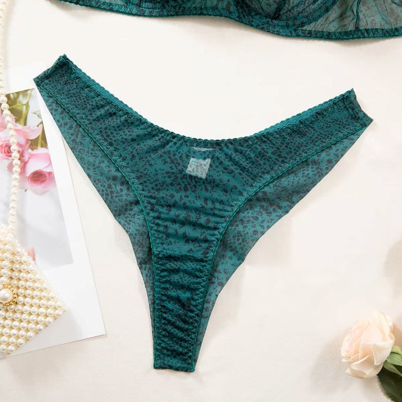2pcs/Set Woman Lingerie Gather – Sheer Mesh Bra recenzja i cena